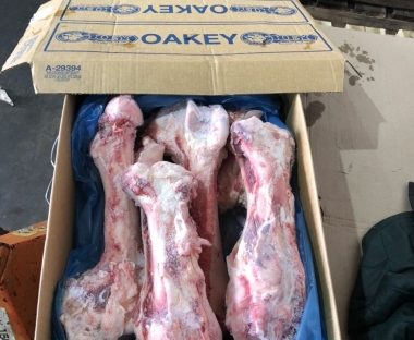 XƯƠNG ỐNG BÒ