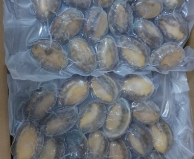 BÀO NGƯ