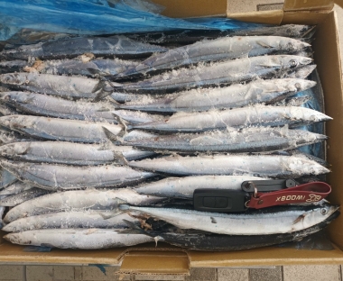 CÁ THU NHẬT