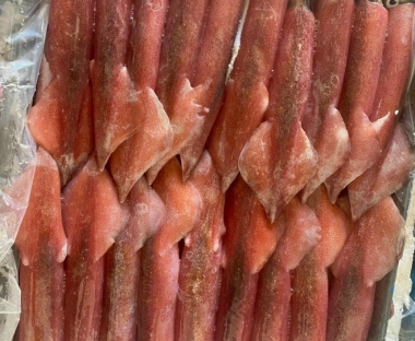 MỰC ỐNG