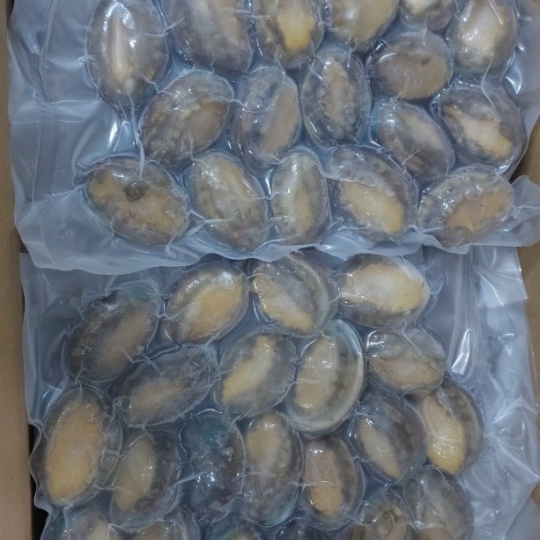 BÀO NGƯ