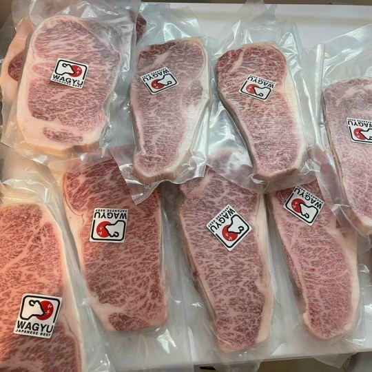 BÒ WAGYU