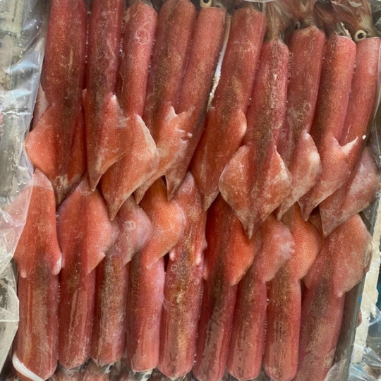 MỰC ỐNG