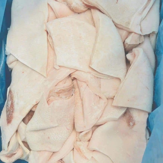MỠ LƯNG TBN