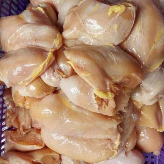 GÀ PHI LÊ